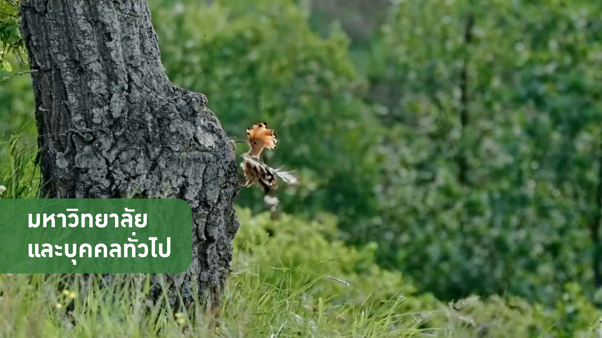 ภาพยนตร์ภารกิจนำร่อง ปกป้องโลกจากก๊าซเรือนกระจก