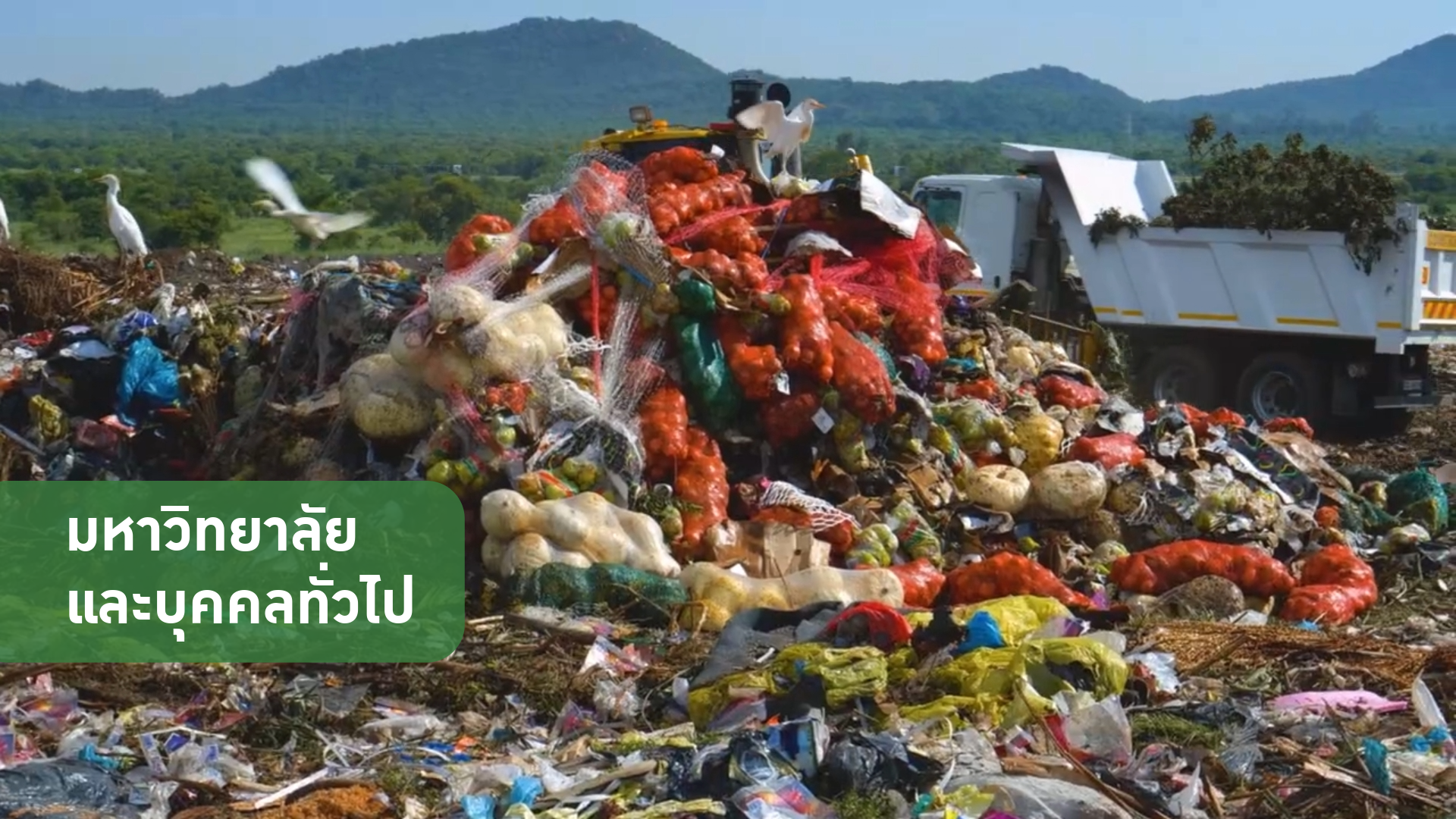 ภาพยนตร์ครัวติด Data อาวุธลับที่ยั่งยืน