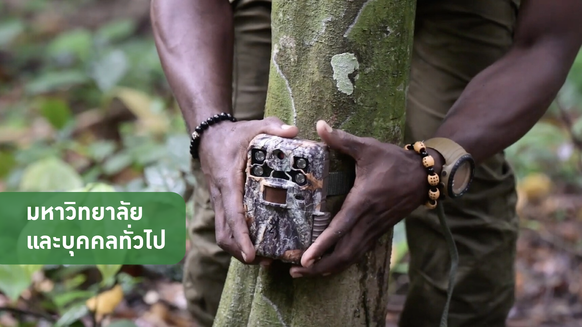 ภาพยนตร์พิทักษ์ป่าด้วยเอไอ
