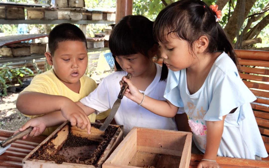 บ้านนักวิทยาศาสตร์ตัวน้อย – ชนโรงตัวจิ๋ว